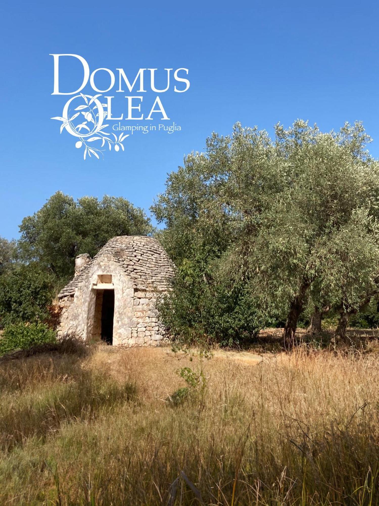 切列梅萨皮卡 Domus Olea Glamping酒店 外观 照片