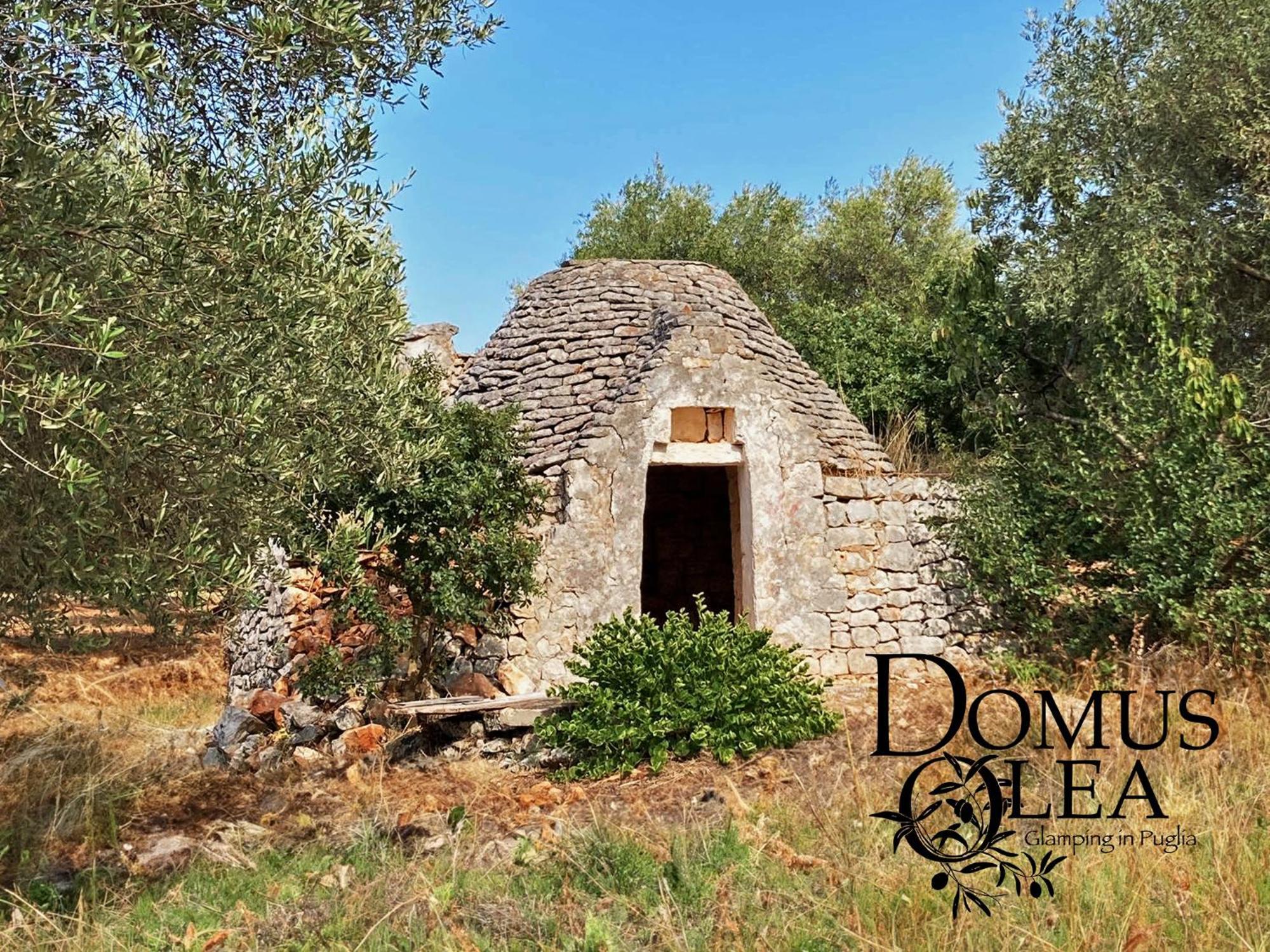 切列梅萨皮卡 Domus Olea Glamping酒店 外观 照片